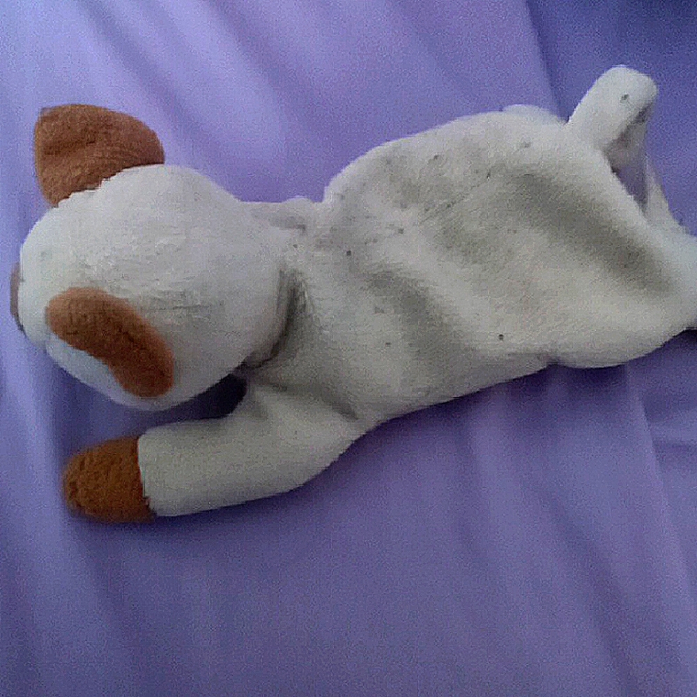 Adorable Plush Cat Toyblast Chance To Buy!!
